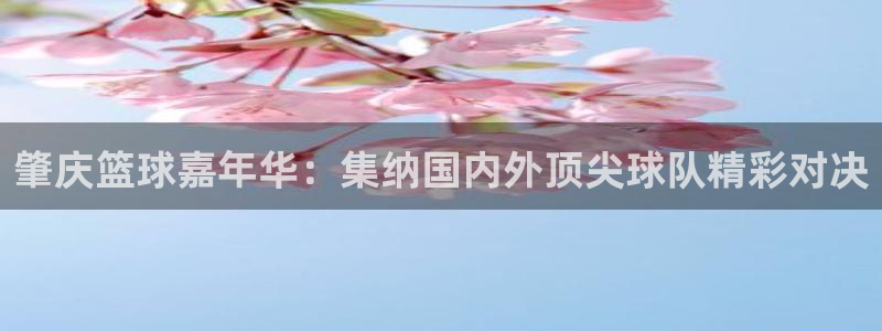 肇庆篮球嘉年华：集纳国内外顶尖球队精彩对决