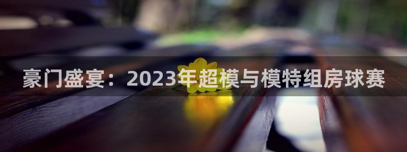 天空体育的可信度：豪门盛宴：2023年超模与模特组房球赛