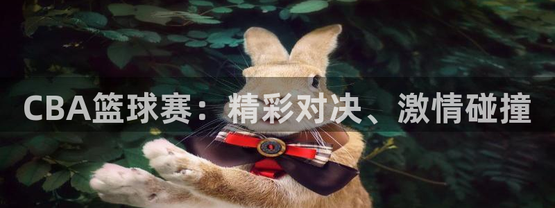  天空体育是什么：CBA篮球赛：精彩对决、激情碰撞
