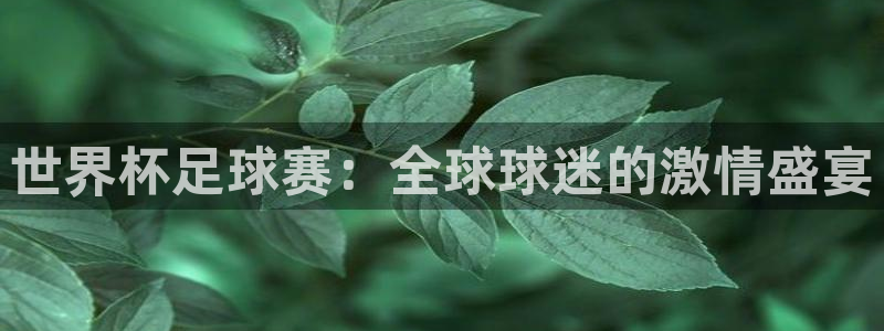  xk星空体育：世界杯足球赛：全球球迷的激情盛宴