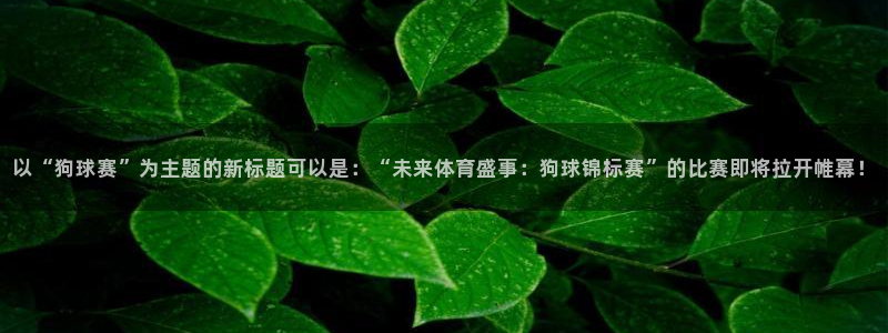 星空体育a：以“狗球赛”为主题的新标题可以是：“未来体育盛事
