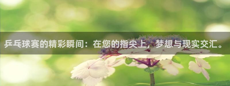  星空 体育：乒乓球赛的精彩瞬间：在您的指尖上，梦想与现实交汇