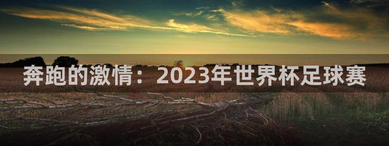 星空体育官网：奔跑的激情：2023年世界杯足球赛