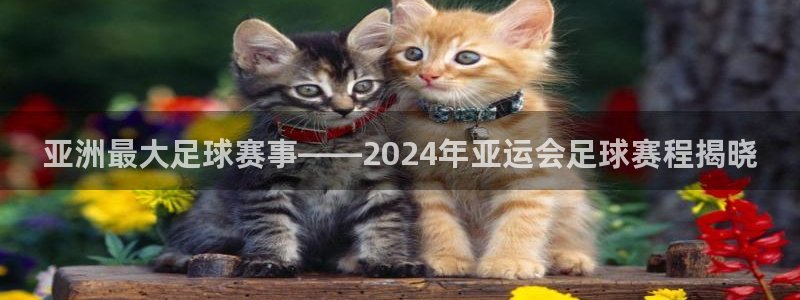 星空体育首页：亚洲最大足球赛事——2024年亚运会足球赛程揭