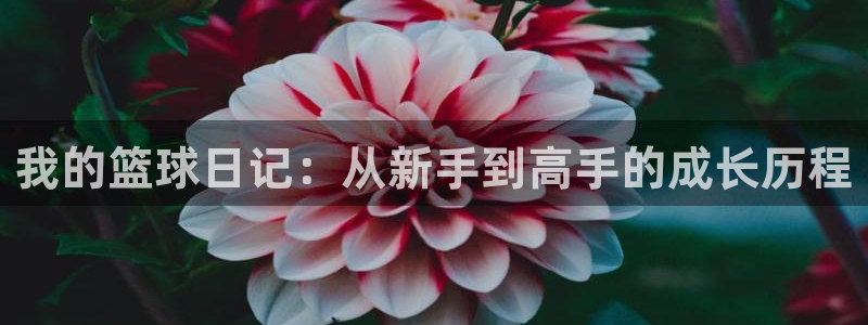 天空体育足球评论员：我的篮球日记：从新手到高手的成长历程